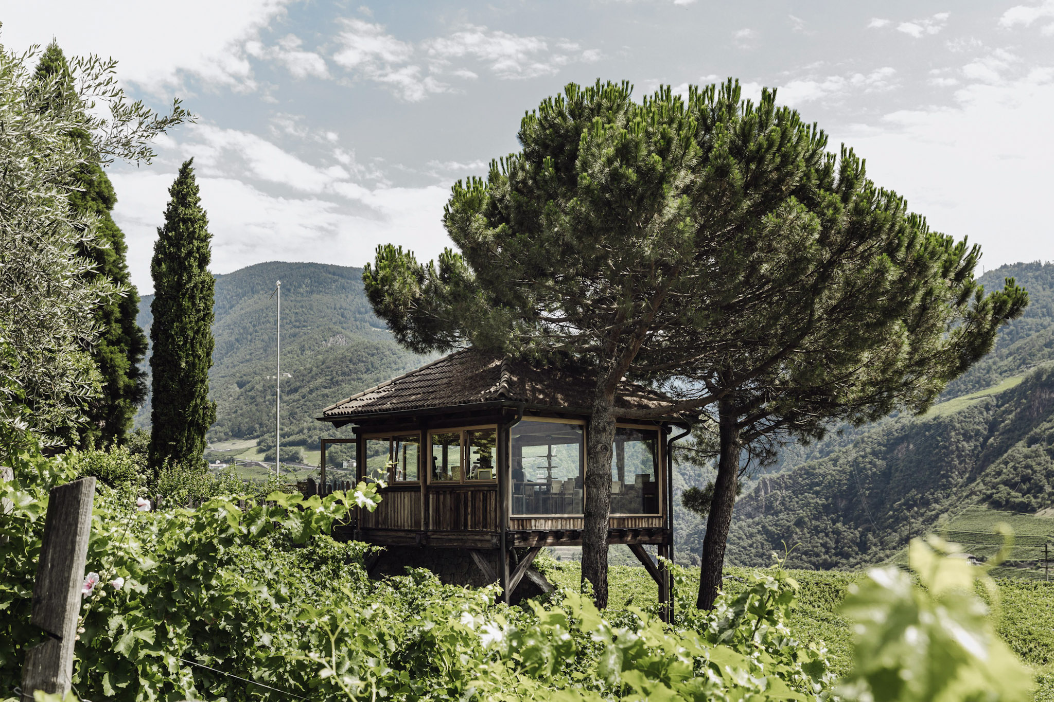 (c)TIBERIO SORVILLO_SKYWINE PAVILLON 2